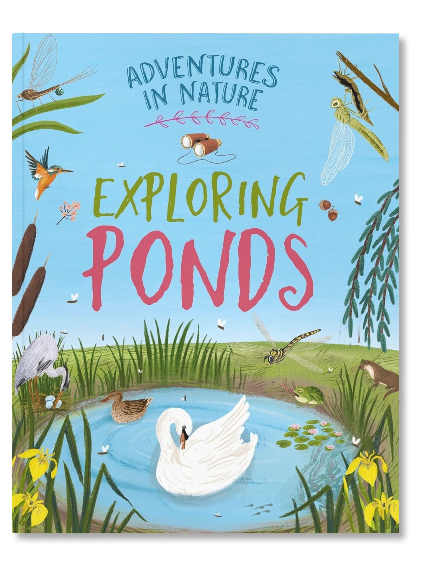 exploring series waylaid hachette written by Jane green illustrated by Lia Visirin